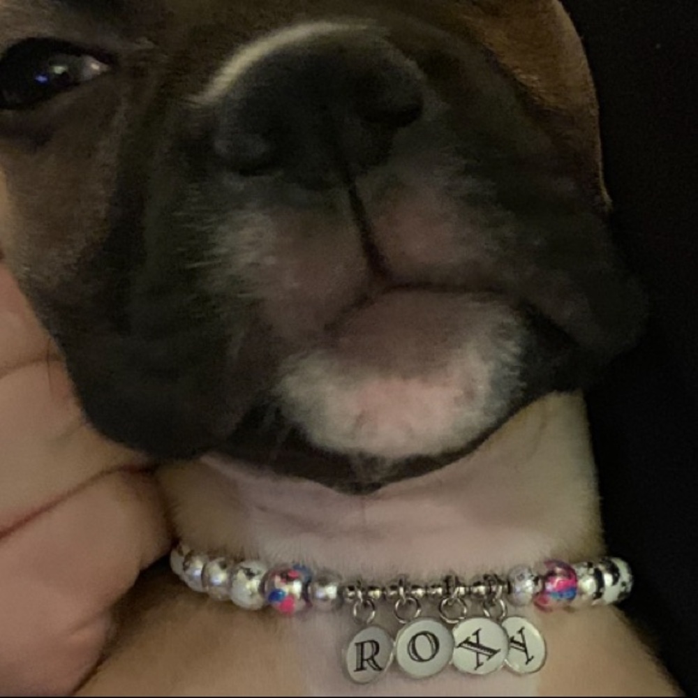 We are not selling our beloved pooch